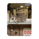 Recherche de totalement magnets Chat
