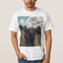 Recherche de vache écossaise tshirts Vache de montagne