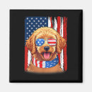 Search for else magnets America