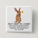Search for rabbit square buttons Animal