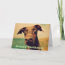 Search for doberman birthday cards Pet