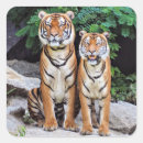 Search for male female stickers Sitting