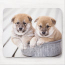 Search for shiba inu mousepads Animal