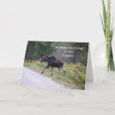 Search for elk birthday cards Moose