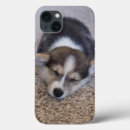 Search for corgi puppy iphone cases Queen's dog