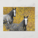 Recherche de moutarde cartes postales Champ