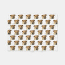 Search for cute cat photo blankets Pet lover