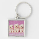 Search for behaviour keychains Colour image