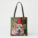 Search for corgi accessories Cute dog
