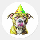 Search for birthday hats stickers Watercolor