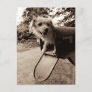 Search for pet vertical postcards whimsical