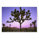 Search for joshua tree Colourful