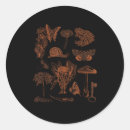 Search for dark art stickers Goblincore