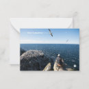 Search for gannet postcards Nature