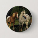 Search for appaloosa buttons Equestrian