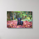 Search for labrador retriever art Animal