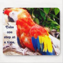 Search for subject mousepads Wild