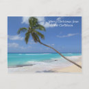 Search for caribbean christmas cards Palm