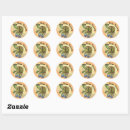 Search for slow turtle stickers Slow and steady