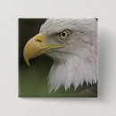 Recherche de adulte badges Animal