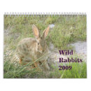 Search for rabbit calendars Cute
