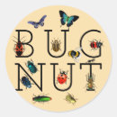Search for pollinators stickers Butterflies