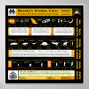 Recherche de cosmologie posters Chronologie