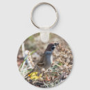 Search for sparrow keychains Branch