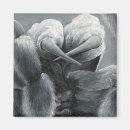 Search for itsy bitsy spider Insects