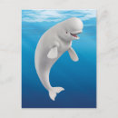 Recherche de beluga cartes postales Bailey