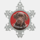 Search for chocolate lab ornaments Xmas