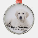 Search for puppy first ornaments Xmas