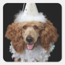 Search for mix it up stickers Mixed breed dog