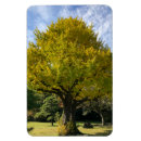 Recherche de japan magnete Tokyo