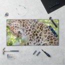 Recherche de chats jungle tapis souris Léopard