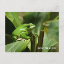 Recherche de crapaud cartes postales Sauvage