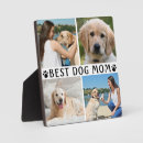 Recherche de dog plaques Empreintes de pattes
