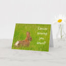 Recherche de lapin drôle vœux cartes Mignonette