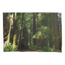 Search for ferns pillowcases Forest