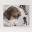 Search for bulldog puzzles Baby