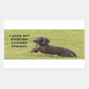 Search for spaniel stickers Pet