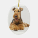 Search for airedale ornaments dogs
