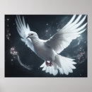 Search for white dove peace posters Doves