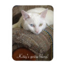 Recherche de bleu de dame magnets Mignon