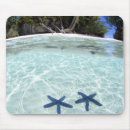 Search for two mousepads Tree