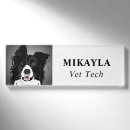 Search for collies Cute