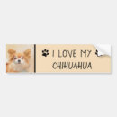Search for chihuahua bumper stickers Dog