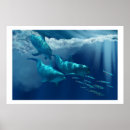 Recherche de grand dauphin posters Bleu