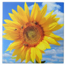 Recherche de tournesol carreaux Abeille