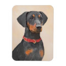 Recherche de pinscher magnets Broche